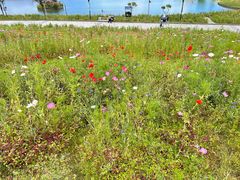-西岭雪山大飞水景区