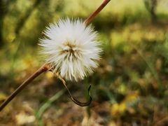-野鸭湖国家湿地公园