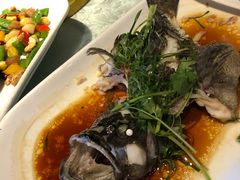-大树头森林餐厅(番禺广场店)