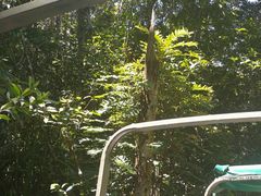 -热带雨林自然公园