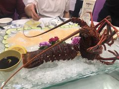 -湛江渔港·大排档(乐园路总店)