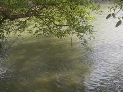 -范蠡湖公园