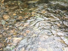 -白云源风景区