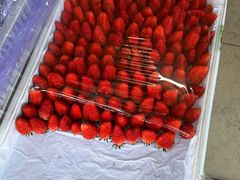 -岳各庄批发市场(西四环中路店)