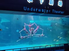 -泉城欧乐堡海洋极地世界