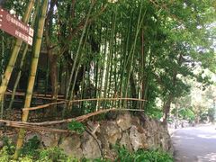 -叶家花园