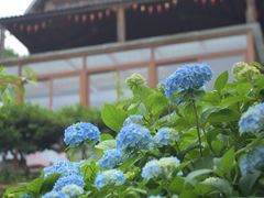 -天地生态农庄