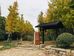 -梁鸿国家湿地公园