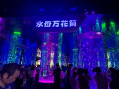 -海合安成都极地海洋公园