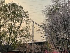 -永定河休闲森林公园