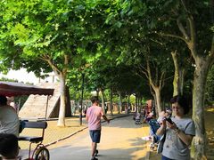 -东方绿舟景区