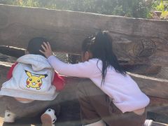 -长鹿旅游休博园