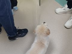 -动物缘宠物医院·骨科·猫科(西二环店)