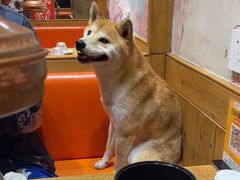 -牛也烧肉(摩尔城店)