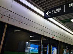 -杨柳河(地铁站)