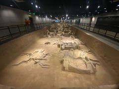 -洛阳周王城天子驾六博物馆