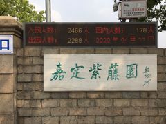 -嘉定紫藤园
