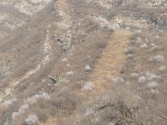 -妙峰山风景名胜区