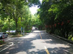 -西樵山风景名胜区-天湖公园