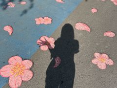 -七桥瓮公园