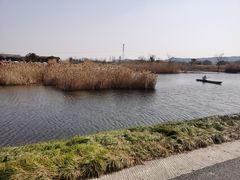 -良渚古城遗址公园