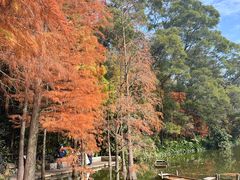 -深圳仙湖植物园