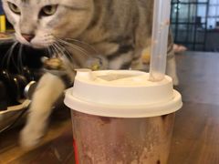 -喜茶(佛山顺德容桂天佑城店)