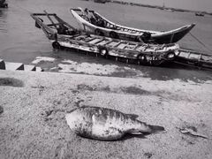 -六鳌翡翠湾滨海度假景区