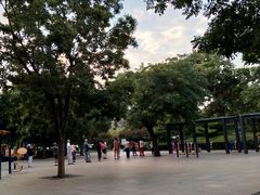 -玲珑塔公园