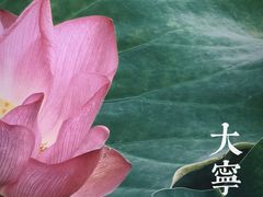 -大宁公园