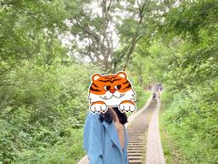 -青龙山国家森林公园