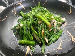 -阿巧茶庄