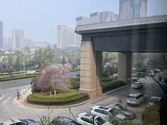 -济南喜来登酒店