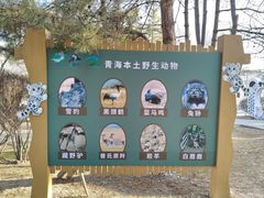 -青藏高原野生动物园