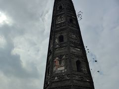 -上海佘山国家森林公园天马山园