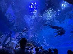 -华夏文旅海洋公园