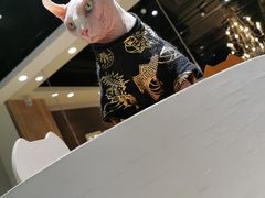 -藏猫猫咖啡主题馆(中央大道店)