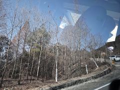 -大别山南武当滑雪场