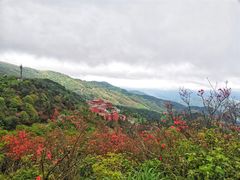 -永州阳明山国家森林公园