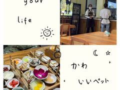 -双桥园·云南过桥米线(古城南门店)