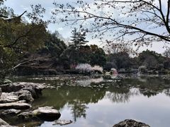 -杭州植物园