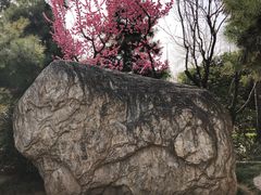 -莲湖公园