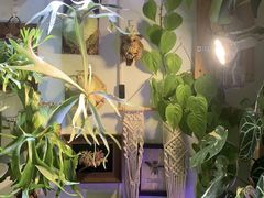 -Rabbit Cafe私房西餐甜点咖啡(栖霞路店)