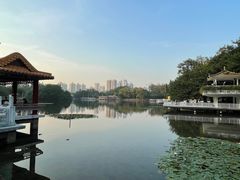 -荔枝公园(福田区)