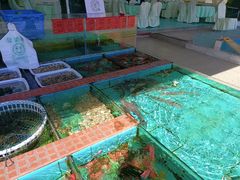 -景好海鲜餐厅(大鹏必选旅游店)