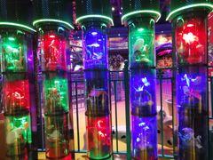 -幸福花欢乐世界(东辰广场A座店)