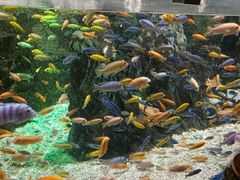 -太平洋海底世界