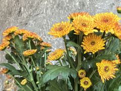 -Laures·月桂西班牙碳烤餐厅(十尚坊店)