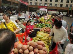 -三亚新鸿港水果一级批发市场