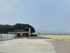 -大湾区中央湿地公园